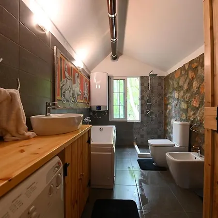 The Hidden Cottage! A Diy Cabin In The Countryside Chalet