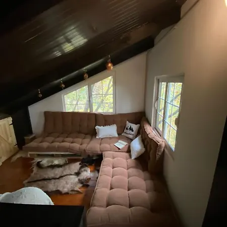 The Hidden Cottage! A Diy Cabin In The Countryside