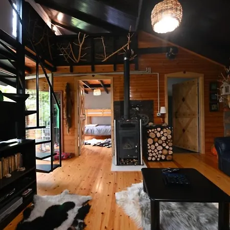 The Hidden Cottage! A Diy Cabin In The Countryside *