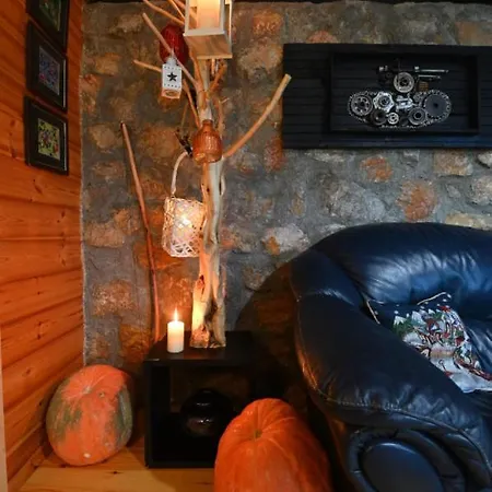 The Hidden Cottage! A Diy Cabin In The Countryside Chalet Tirana